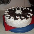 Franciakrémes torta 